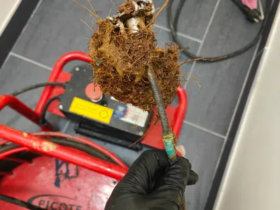 Embout de fraisage extrait d’une canalisation, recouvert de racines